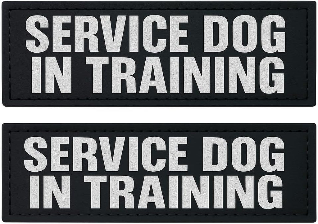 Reflective Service Dog in Training Patches with Hook Backing for Service Animal Vests /Harnesses Large (6 X 2) Inch