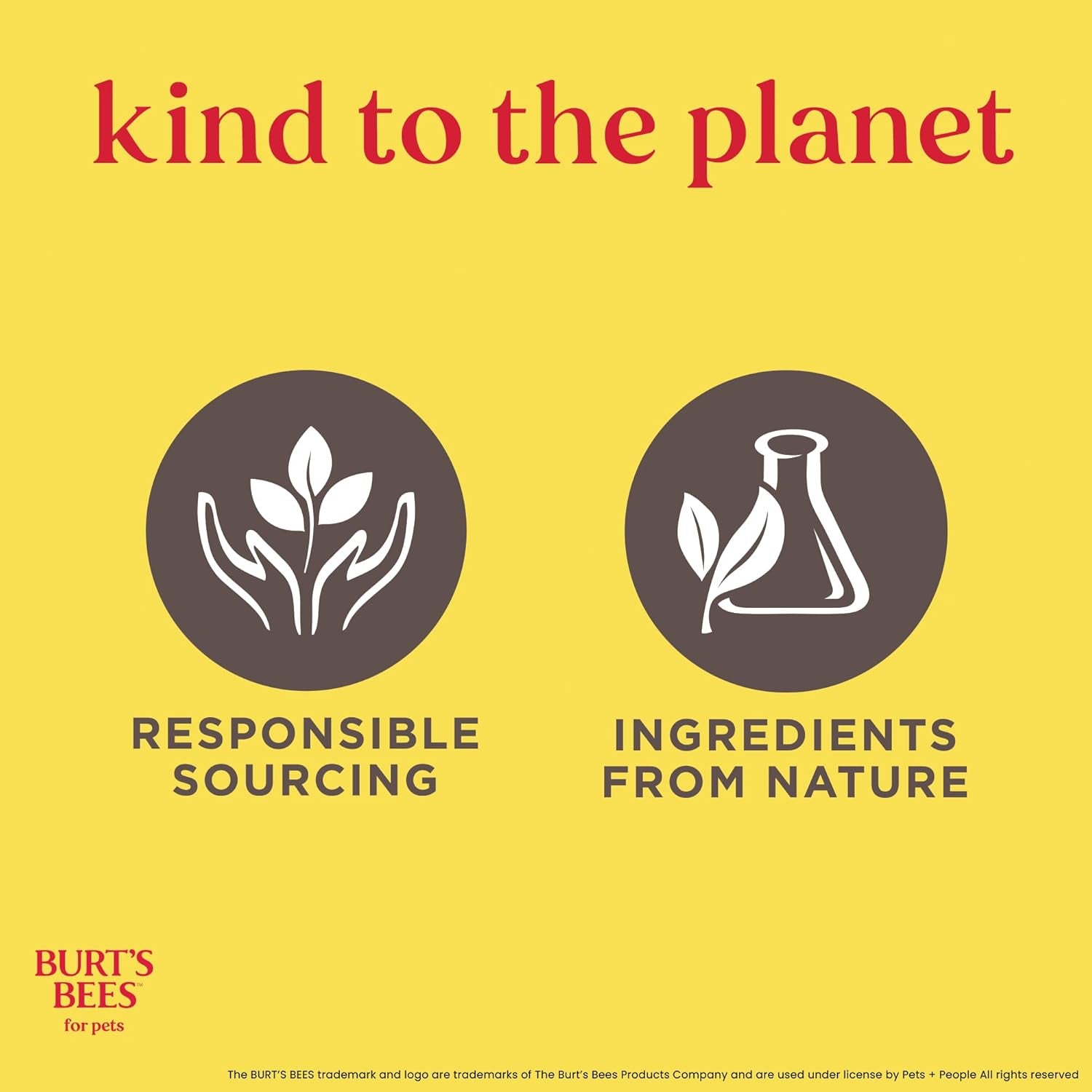 Burt'S Bees for Cats Dander Reducing Wipes - Kitten and Cat Wipes for Grooming - Burts Bees Cat Dander Wipes, Cat Grooming Wipes, Pet Wipes Cats, Cat Cleaning Wipes, Natural Cat Wipes, Cat Fur Wipes