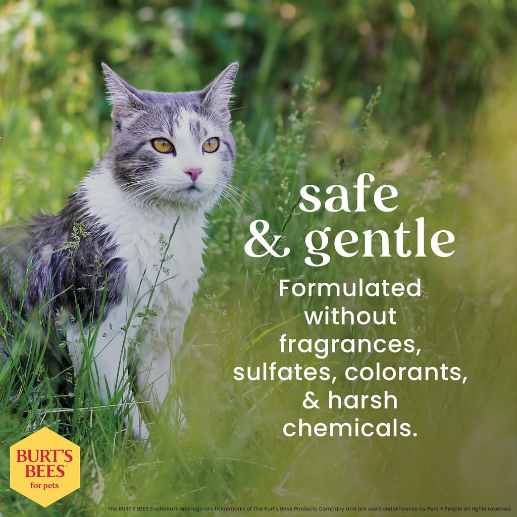 Burt'S Bees for Cats Dander Reducing Wipes - Kitten and Cat Wipes for Grooming - Burts Bees Cat Dander Wipes, Cat Grooming Wipes, Pet Wipes Cats, Cat Cleaning Wipes, Natural Cat Wipes, Cat Fur Wipes